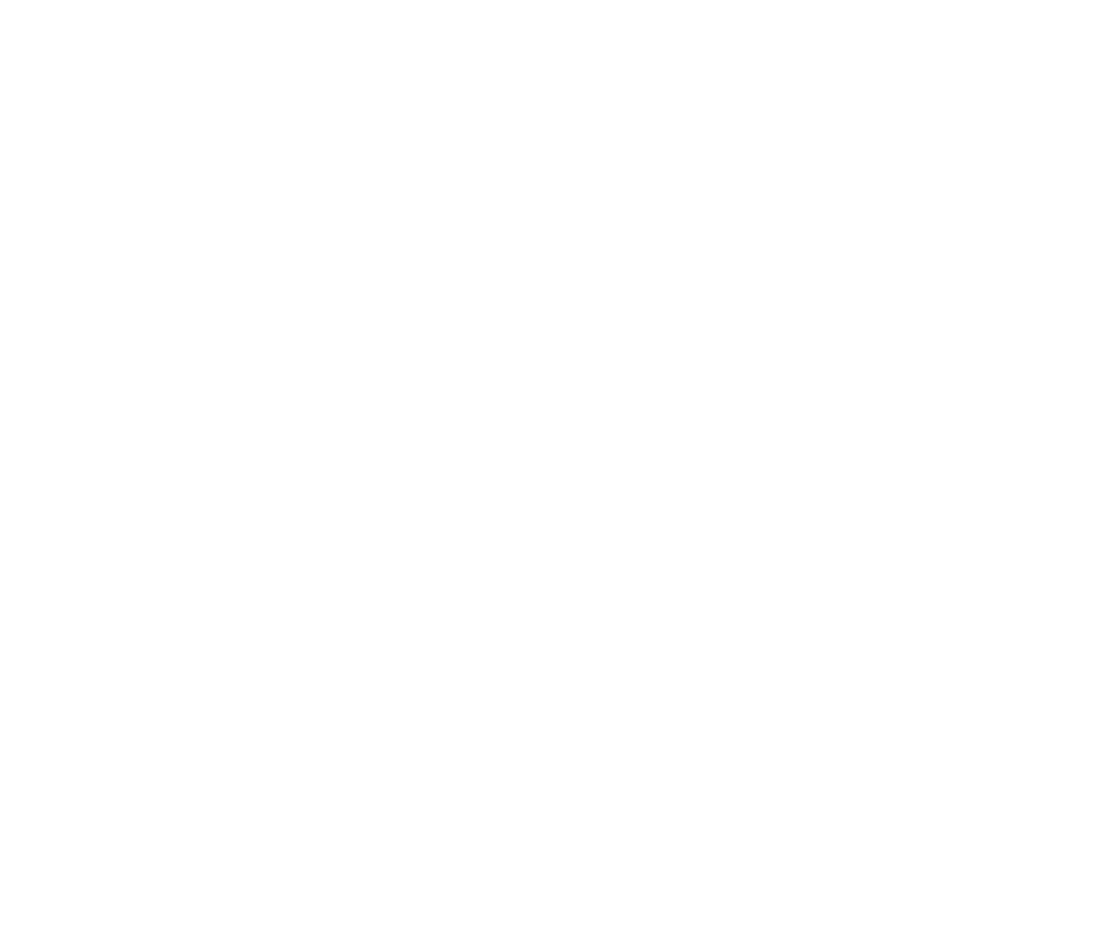 OWS-Technic